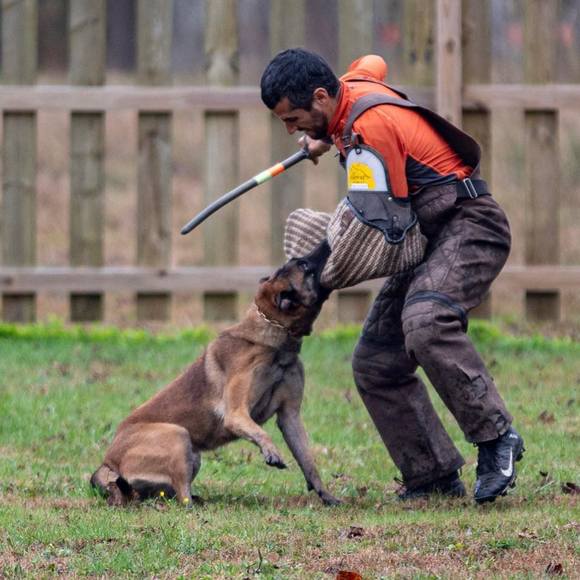 Meet your Posher, Meg - Picture 1 of 1